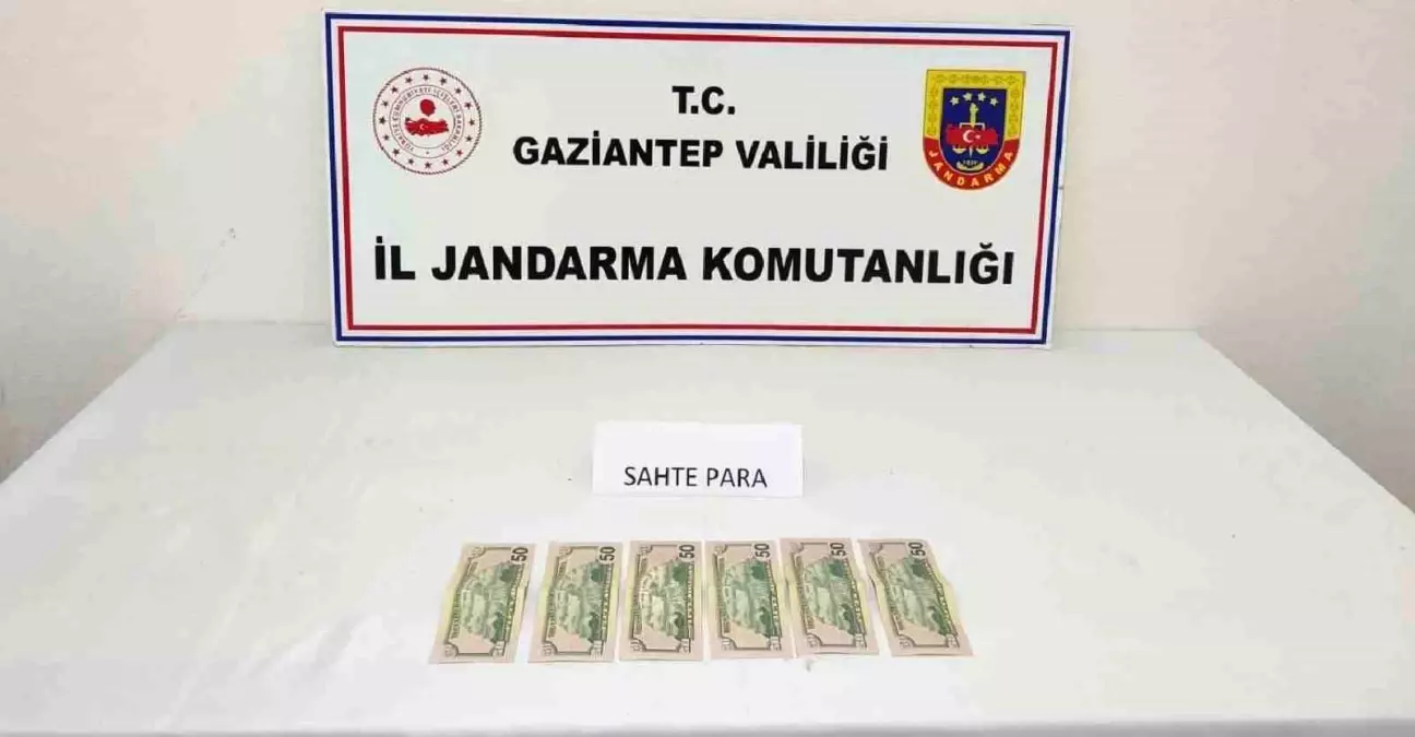 Sahte Dolar Piyasaya Sürüldü