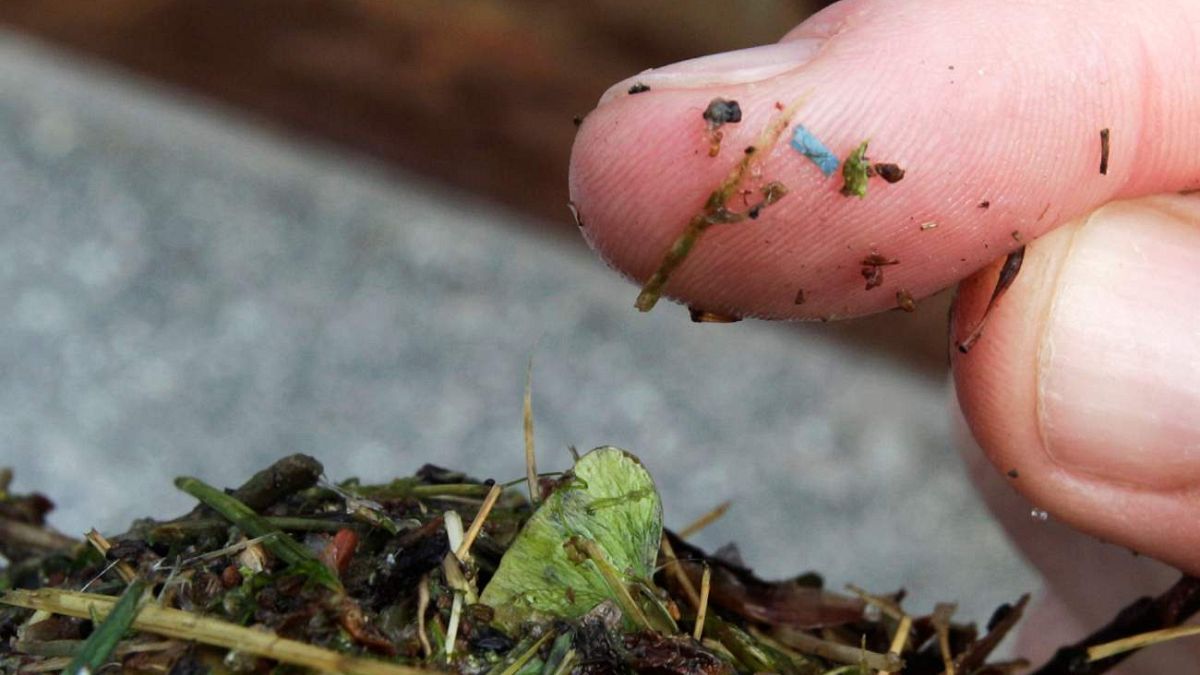 Araştırma: İnsan beynindeki mikroplastik seviyesi hızlıca artıyor