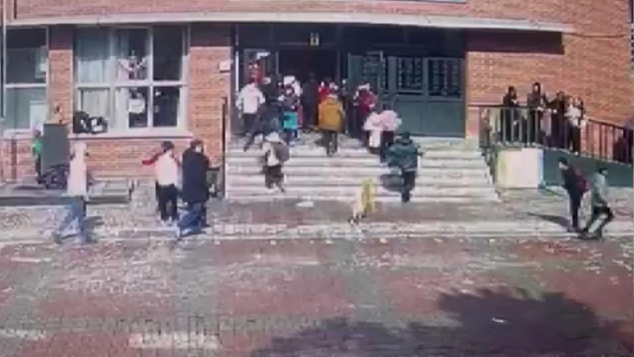 İstanbul’da okul bahçesine giren köpek 6 kişiyi ısırdı